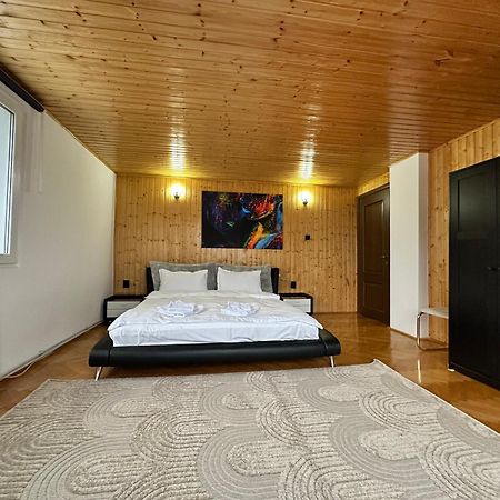 Prater House Mountain View Villa Moieciu de Jos Exterior photo