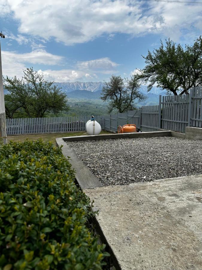 Prater House Mountain View Villa Moieciu de Jos Exterior photo