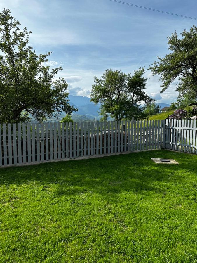 Prater House Mountain View Villa Moieciu de Jos Exterior photo