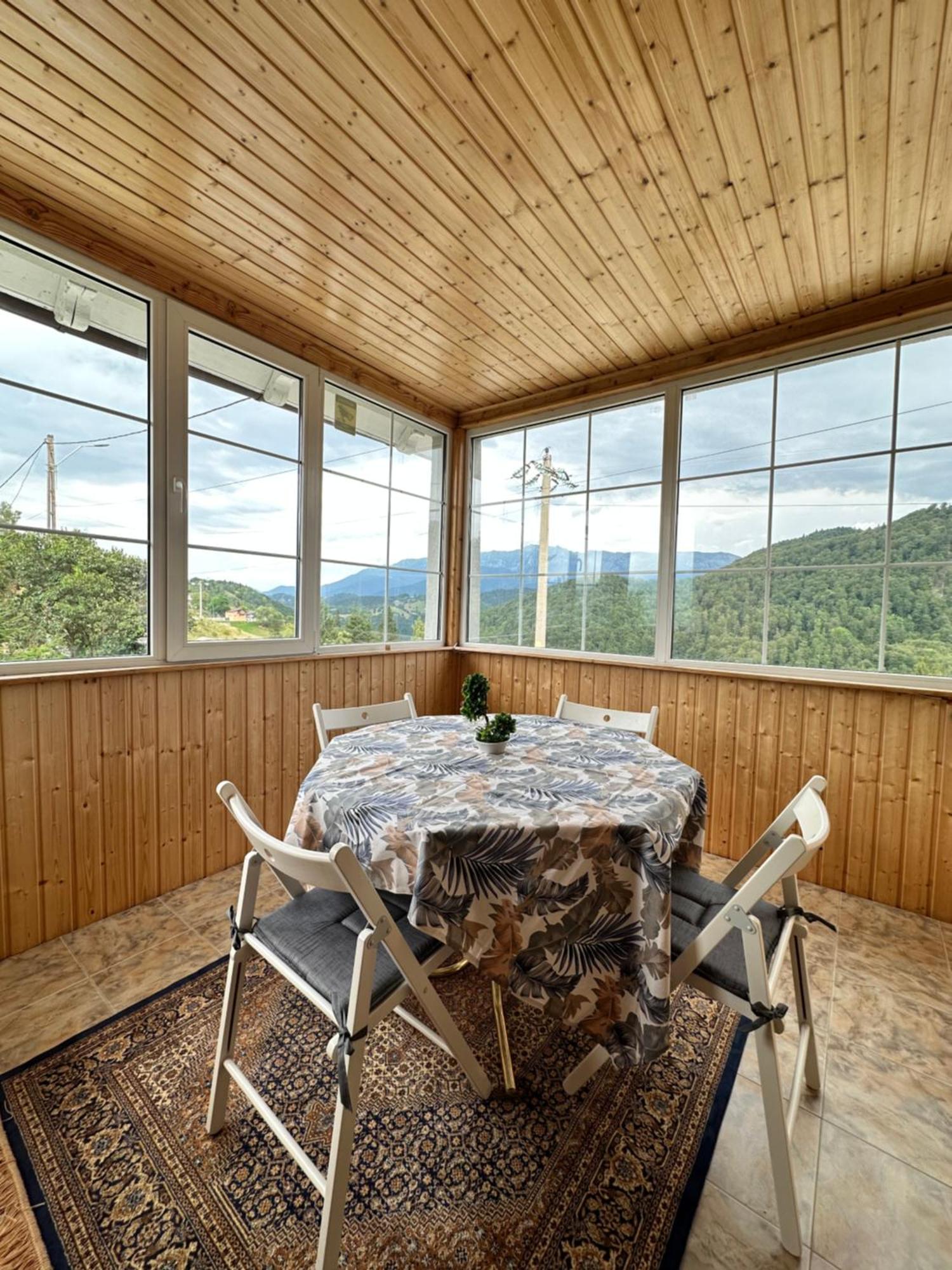 Prater House Mountain View Villa Moieciu de Jos Exterior photo